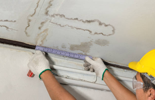 Reliable Water Damage contractor in Rosalia, WA by Water Damage Irwin